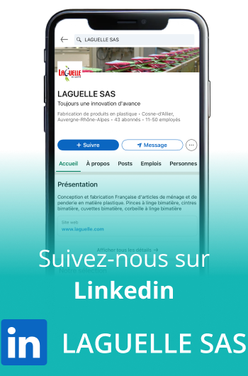 Laguelle Linkedin